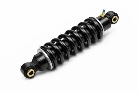 SUSPENSIÓN DE MUELLE